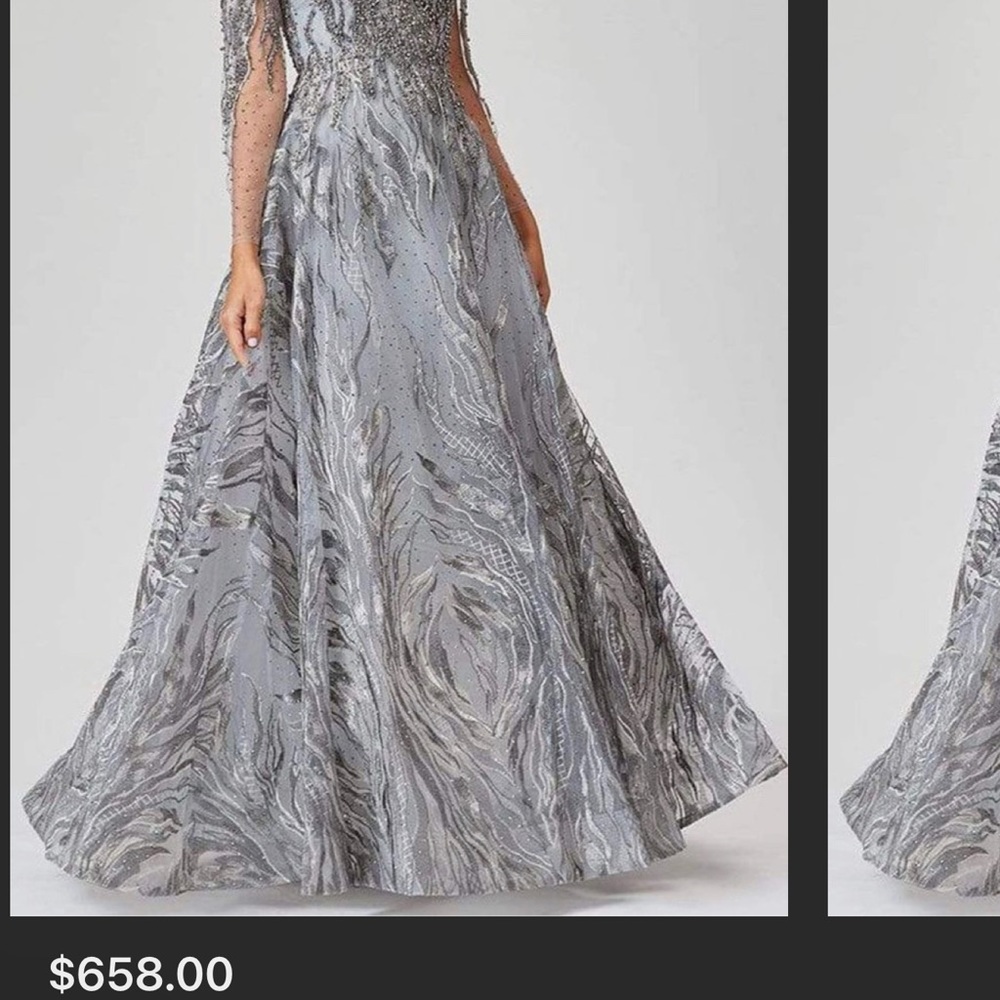 Lara Crystal Ornate long sleeve gown. Custom feathers added. Stunning ice grey.
